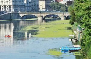 A Torino il Po rimane verde: fallisce il primo miracolo della giunta Appendino