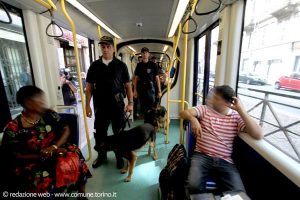 Torino, aggredisce gli agenti a bordo di un bus. Arrestata