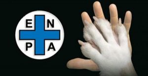 Torino, l’ufficio legale dell’E.N.P.A. risponde all’Assessora Giannuzzi