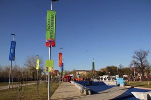 Torino, lavori sospesi al Parco Mennea per trasferire una colonia di conigli