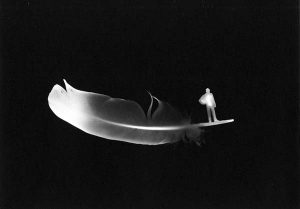 “Buio Luce e Meraviglia” è la personale di Alice Serafino, a Torino fino all’8 luglio