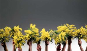 Torino aderisce alla Giornata Internazionale per i Diritti delle Donne