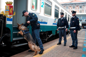 Importazione di droga: tre condannati