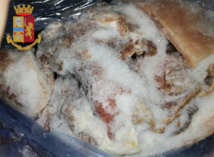 Controlli a San Salvario: due arresti per spaccio e sequestri di cibo mal conservato