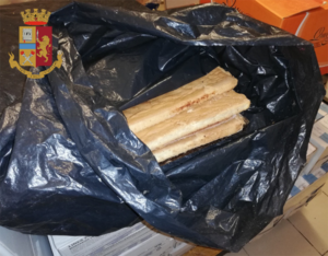 Cibo mal conservato sequestrato in un panificio-panetteria a San Salvario