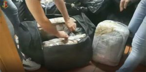 Torino, sequestrata mezza tonnellata di marijuana