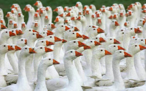 La strombazzata unione civile della “starlette” della cultura ghèi… (ma per favore)…