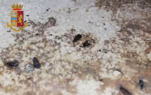 Controlli sanitari a San Salvario: elevate contravvenzioni per oltre 30mila euro