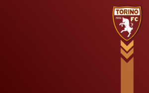 Torino-Verona finisce 1-1