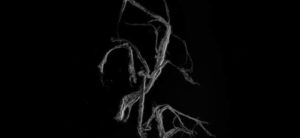 Aosta, al Castello Gamba la mostra “Résister/Resistere” di Silvia Bigi, dal 10 ottobre