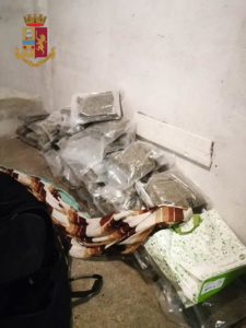 Torino, sequestrati 72 kg di marijuana