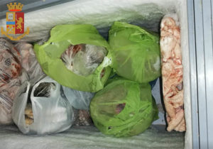 Controlli a San Salvario: alimenti sequestrati, decine di migliaia di euro di sanzioni