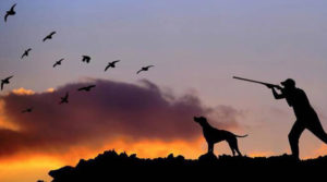 Piemonte, Assessore Protopapa e Giunta contro la fauna selvatica