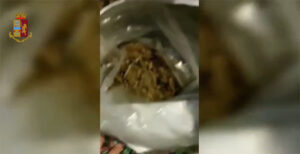 Torino, sequestrati otto chili di marijuana