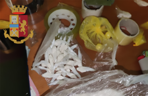 Torino: individuata centrale dello spaccio in appartamento di via Bra con i pusher all’opera in Corso Giulio Cesare