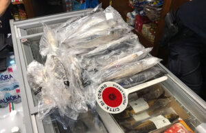 Torino, sequestrati 108 chili di pesce in un minimarket e chiusura di un circolo privato