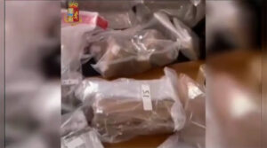 Torino. sequestrato 300 kg di droga. Due arrestati