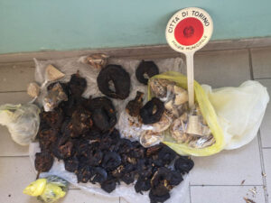 La Polizia Municipale mette in fuga venditori abusivi a Porta Palazzo