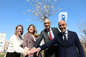 Trenta nuovi ciliegi giapponesi a Torino