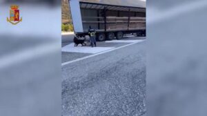 Trasportavano 70kg droga tra le casse di arance. La Polizia di Stato arresta due autisti