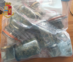 Coltivavano stupefacente nel pinerolese: due persone arrestate, sequestrati oltre 700 arbusti 