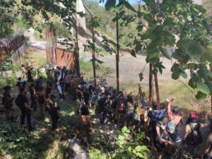 Scontri No Tav in Val di Susa