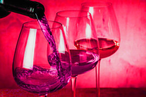 I vini eccellenti del Piemonte al 32° WineFestival di Merano