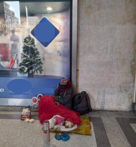 Utilizzavano cani per elemosinare: venti persone identificate e denunciate