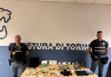 Torino, scoperto un laboratorio dello spaccio. Un arresto