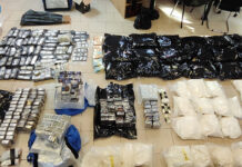 Torino, maxi sequestro di droga e armi tra Madonna di Campagna e San Donato